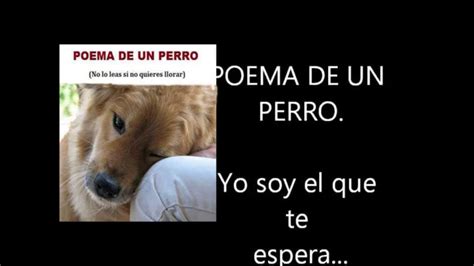 El Poema De Un Perro Youtube