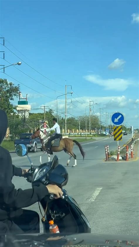 รวมรูปภาพของ นักศึกษาหนุ่มขี่ม้าไปเรียน ยูเทิร์นกลางถนนสุดเฟี้ยวก่อน