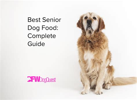 Top 5 Best Senior Dog Food Complete Guide 2022 2022