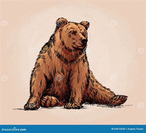 Color Engrave Isolated Grizzly Bear Stock Illustration Illustration
