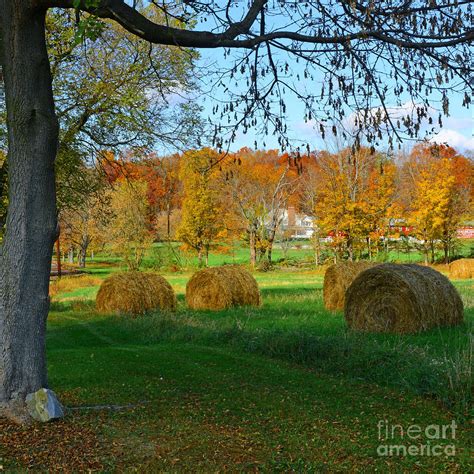 Farm Autumn Harvest Photograph By Paul Ward Fine Art America