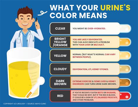 Urine Color Chart What Color Is Normal What Does It Mean Check Your