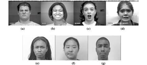 Contempt The Definitive Guide To Reading Facial Microexpressions