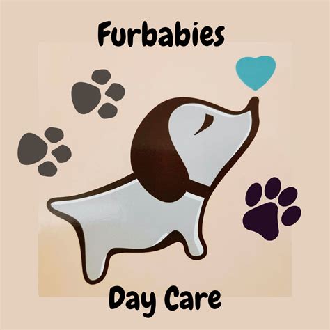 Furbabies Day Care Chesterfield Gb Eng Nextdoor