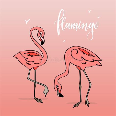 Funny Flamingo Cartoon Stock Illustrations 2119 Funny