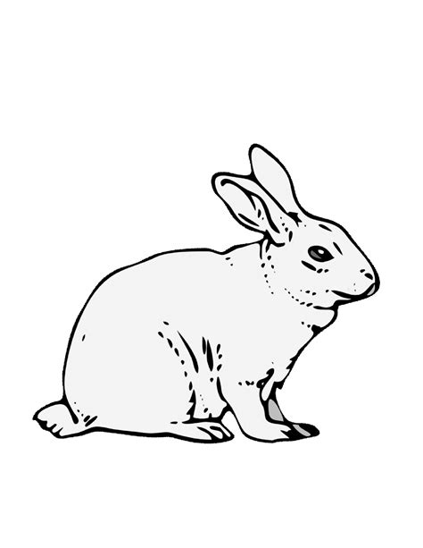 Free Bunny Coloring Pages