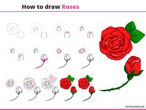 15 Cách Vẽ Hoa Hồng đẹp Cực đơn Giản Và Nhanh Nhất