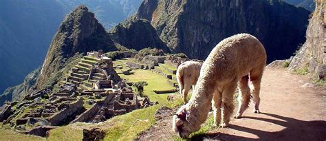 When Is The Best Time To Visit Machu Picchu Yapa Explorers