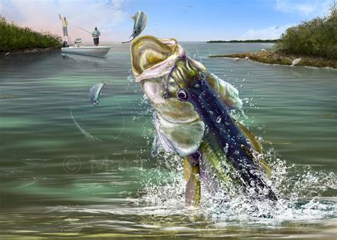 Snook Fishing Art Print By Marine Life Artist Mark Erickson
