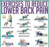 Best Back Exercises Pictures