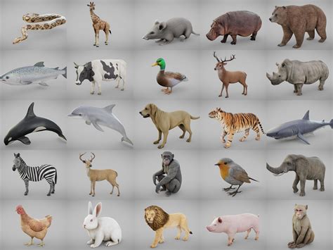 3d Asset Ultimate Animal Collection Cgtrader