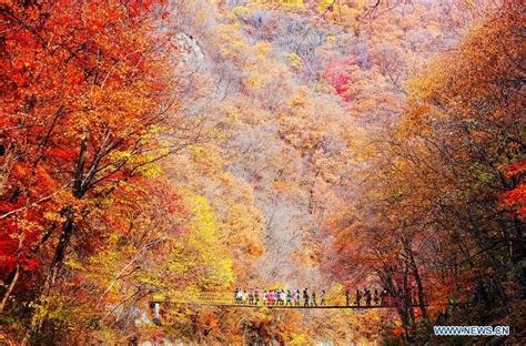 Autumn Scenery Across China111