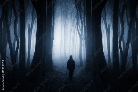 Mysterious Figure In Dark Fantasy Forest At Night Stock Photo Adobe Stock