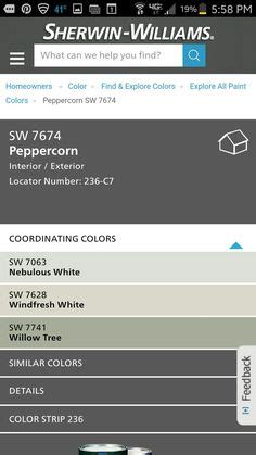 Master bedroom, closet + dressing area: Peppercorn SW 7674 - Cool Neutral Paint Color - Sherwin ...