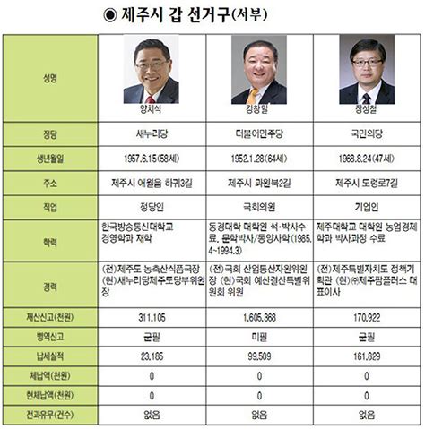 빅 브라더(또는 기타 불길한 염탐꾼)가 어깨너머로. - 제민일보