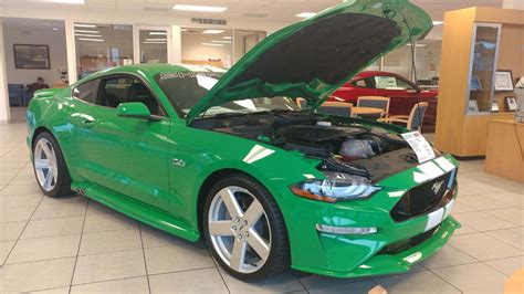 Unique Custom Mustang, 2019 New for sale (make them Green with envy!)