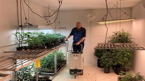 Cannabis Grow Rooms Enviro Mist