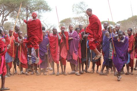 Maasai morans' traditional dance performance during madaraka day. Maasai Warrior Celebration - Nicholas School Internship Blogs