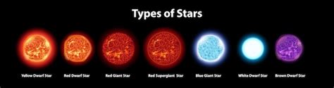 Premium Vector Different Types Of Stars