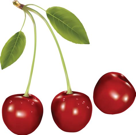 Cherry Hd Png Transparent Cherry Hdpng Images Pluspng
