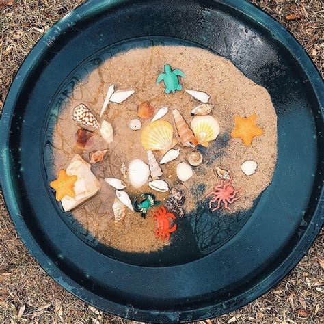 Diy Tide Pool Ocean Science Activity For Kids Raising Up Wild Things