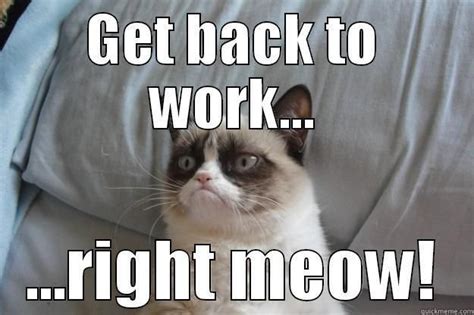 191,865 likes · 494 talking about this. Collect the Inspirational Cat Funny Memes/work - Hilarious ...