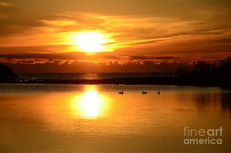 The Golden Hour Photograph By Heather Maria Fine Art America