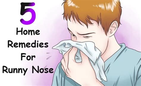 5 Home Remedies For Runny Nose Morpheme Remedies India