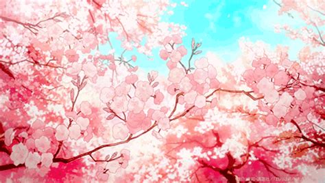 Cherry Blossom Anime Background Aesthetic Anime Anime Scenery