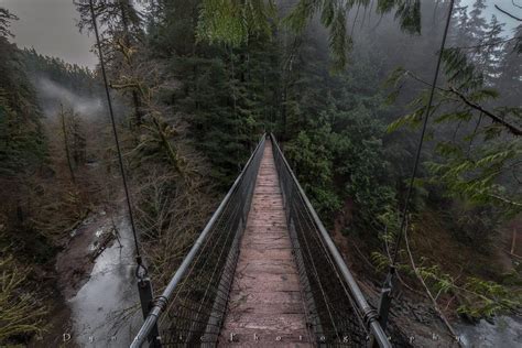 11 Perfect Hikes For Rainy Oregon Days That Oregon Life
