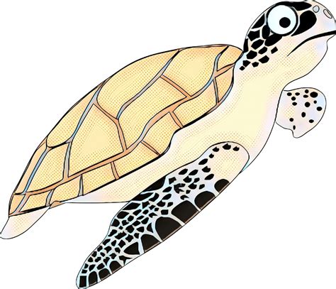 Clip art Vector graphics Turtle Portable Network Graphics Drawing - png download - 2395*2057 ...