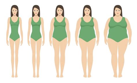Die internetseite des bundesministeriums des innern, für bau und heimat bietet informationen zur aktuellen innenpolitik und zu den vielfältigen aufgabenbereichen des bmi. Body-Mass-Index-Vektor-Illustration von Untergewicht bis ...