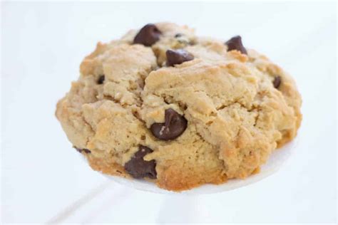 Single Serving Peanut Butter Chocolate Chip Cookie Brooklyn Farm Girl