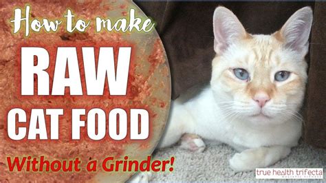 Typically, homemade cat food is made of raw meat (chicken, turkey, duck, rabbit, fish, pork, lamb). How to make Raw Cat Food WITHOUT a Grinder! (RECIPE ...