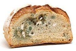 In general, most loaves will last up to a week at room temperature, and three to five days longer in the fridge—though keep in mind that refrigeration can make bread go stale. How Long Does It Take For Bread To Mold - How Long Does ...