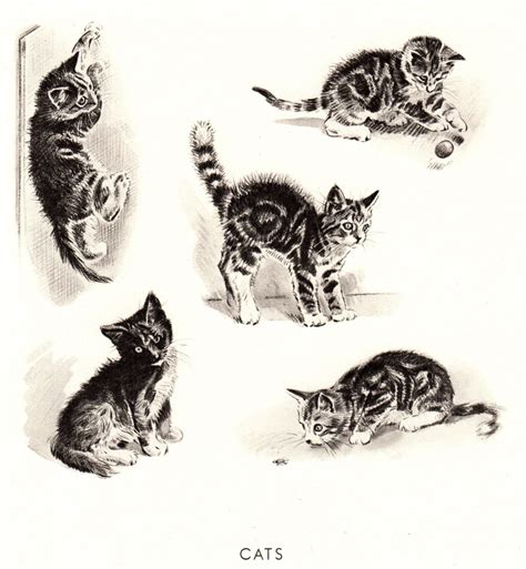 1940s Sweet Tabby Cat Kitten Print Wall Art Decor Vintage Kittens