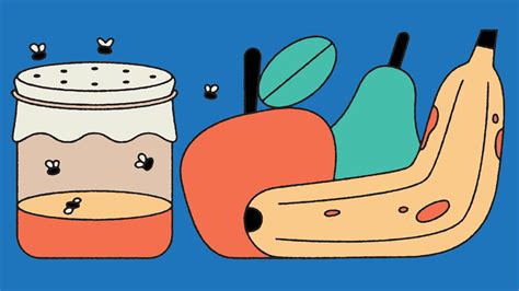What's the Best Way to Get Rid of Fruit Flies? - Consumer Reports