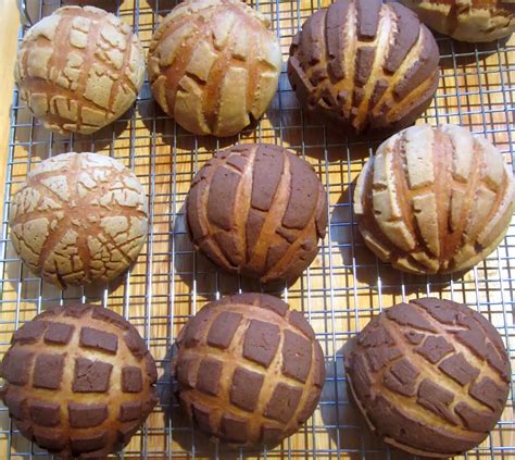 Die mexikanischen gesundheitsbehörden fordern derzeit keine bescheinigung über den gesundheitszustand oder testergebnisse. Brot & Meer: MEXIKANISCHE CONCHAS - SÜSSE MUSCHELBRÖTCHEN ...
