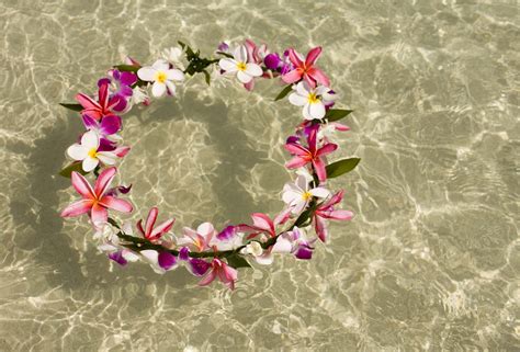 What Flowers Are Used To Make Leis Garland Variety Customs Behind