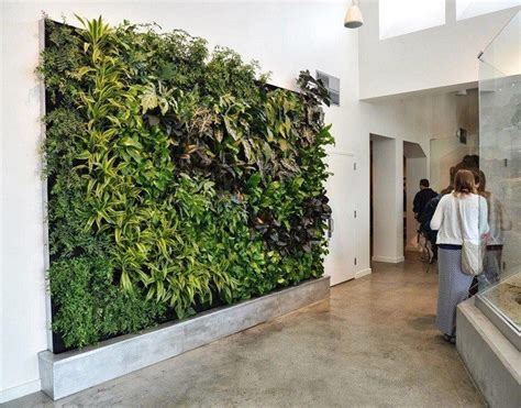 How To Create An Indoor Vertical Garden For A Bold Entrance The