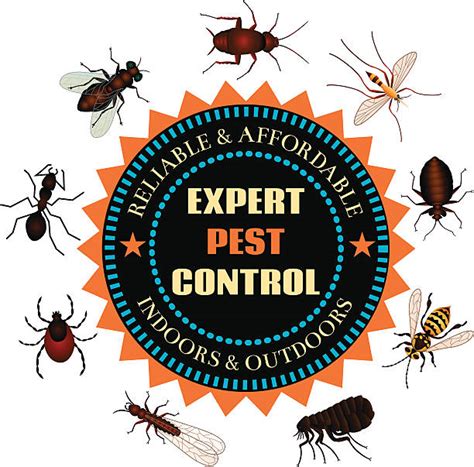 Bed bug removal, cockroach exterminator Economy Exterminators Pest Control | Raleigh Charlotte Wilmington