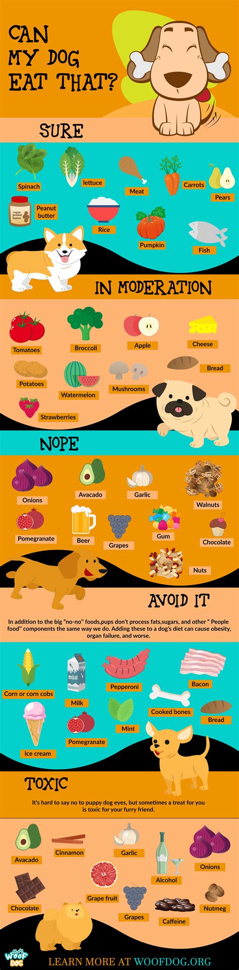 But that doesn't mean you can't sometimes give your dog people food as a special treat. 30 Human Foods Dogs Can and Can't Eat (+11 Toxic and ...