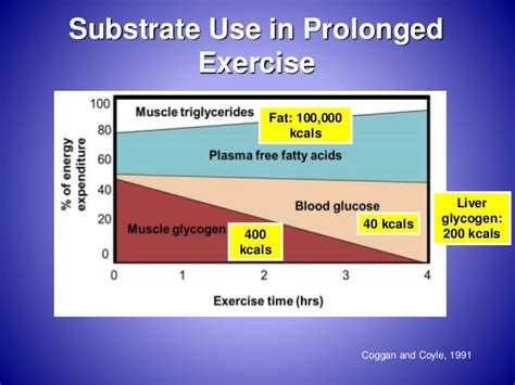 It uses oxygen to convert macronutrients (carbohydrates, fats, and protein) to atp. Lecture 2 exercise metabolism