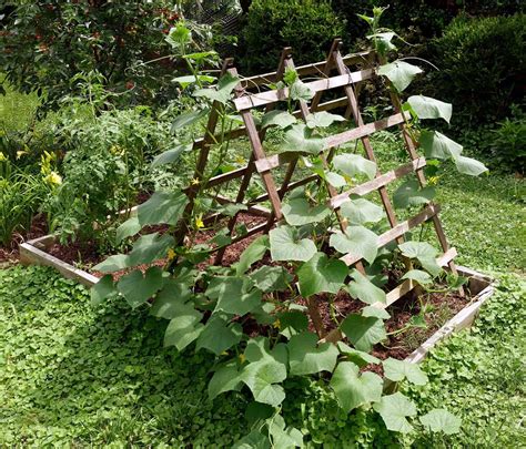 How To Make A Simple Vegetable Garden Trellis ⋆ Big Blog Of Gardening