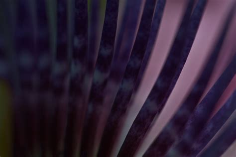 The Intricate Journey - Poetic Film - Sound Poetry - Experimental Poems