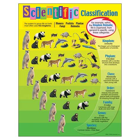 Chart Scientific Classification