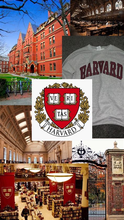 Harvard Aesthetic University Inspiration Dream College College