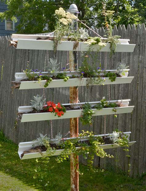 Vertical Garden Made From Old Gutters Draws Attention On