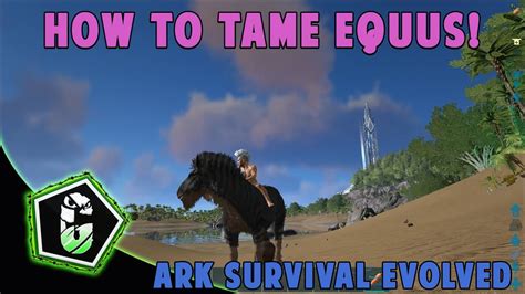 Check spelling or type a new query. Ark Survival Evolved - How To Tame Equus! (PC, XBOX ONE, PS4) - YouTube