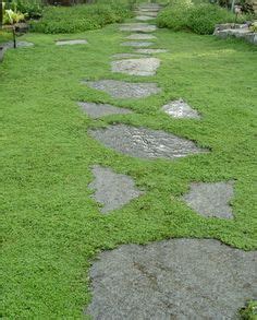They're also pretty to look at if you're into lush greenery with benefits. Pin on front/back yard ideas